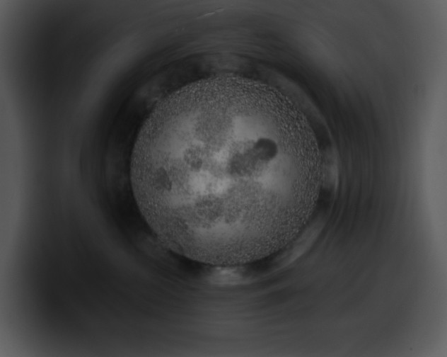 X0000100410573200806061344