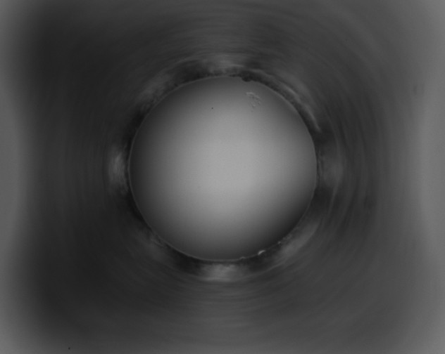 X0000100410575200806061344