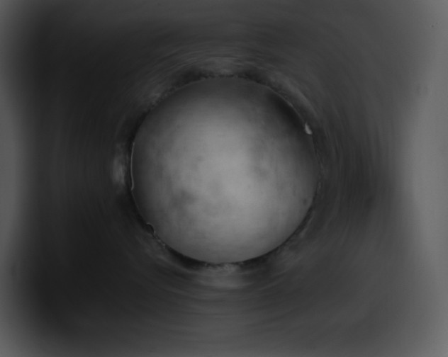 X0000100410576200806061344