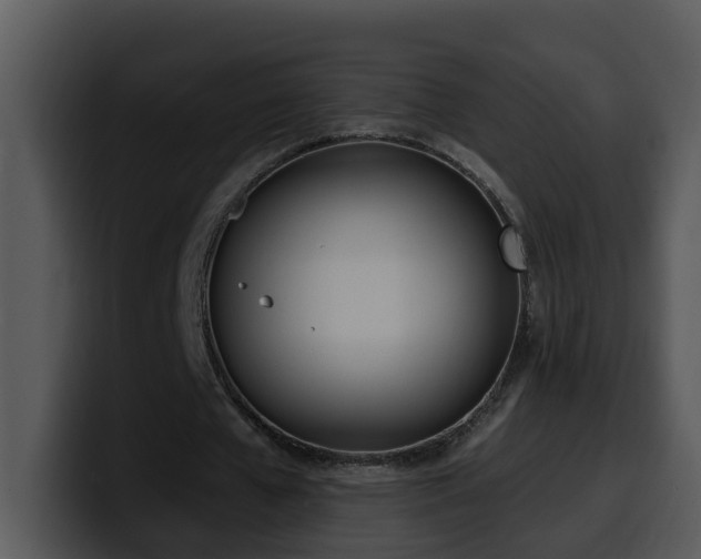 X0000100410577200806061344