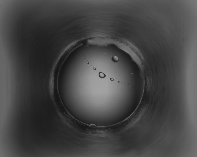 X0000100410580200806061343