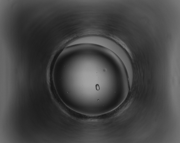 X0000100410581200806061343