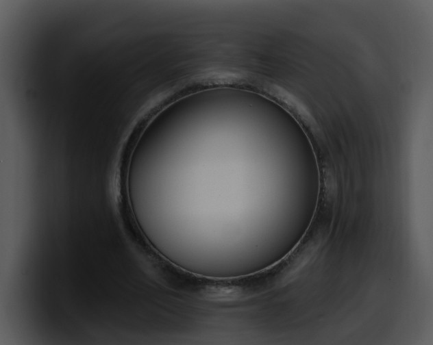 X0000100410582200806061343