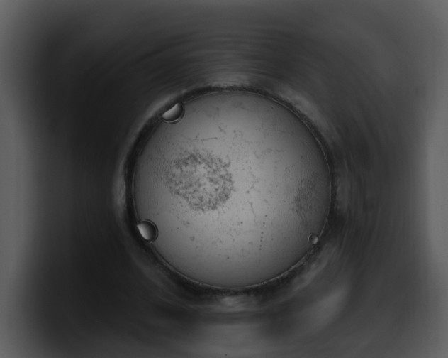 X0000100410584200806061343