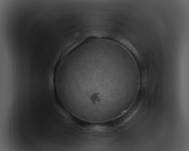 X0000100410585200806061343