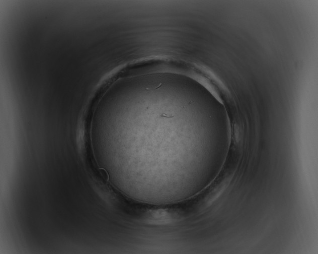 X0000100410588200806061343