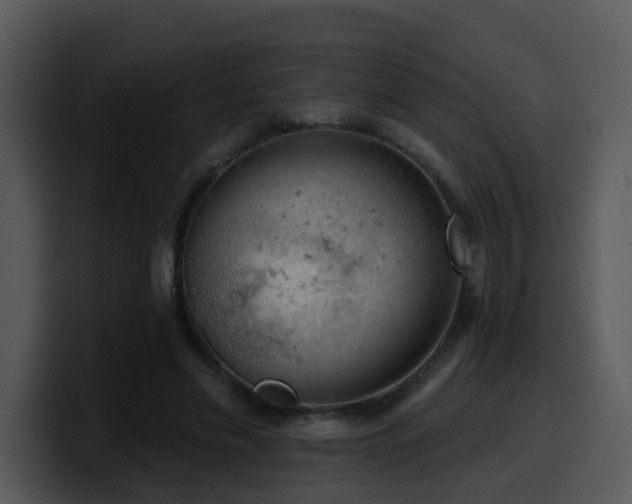 X0000100410589200806061343