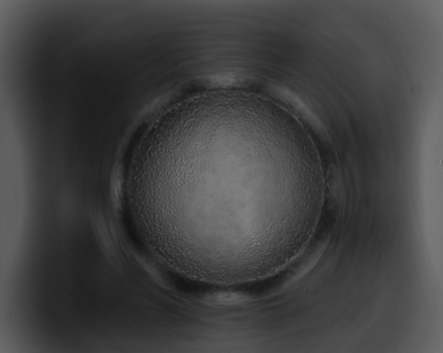 X0000100410590200806061343