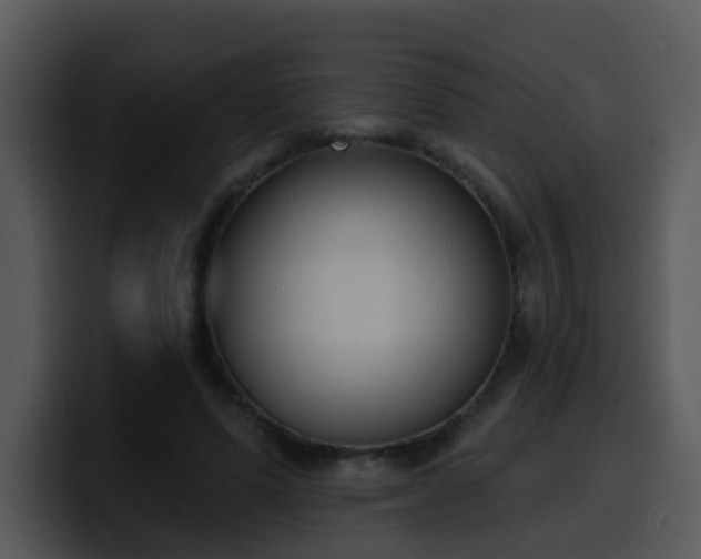 X0000100410591200806061343