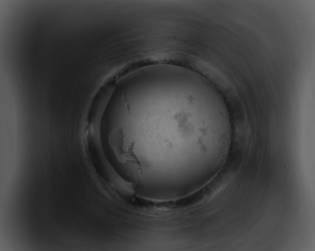 X0000100410592200806061343