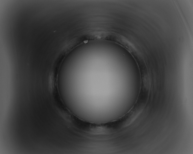 X0000100410594200806061343