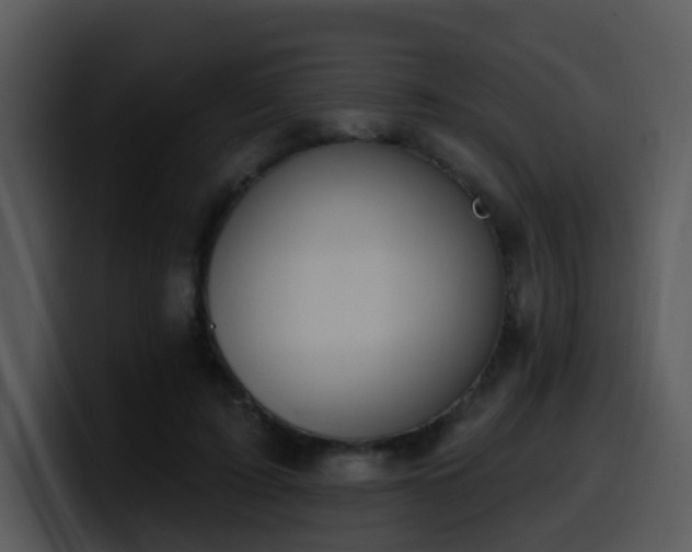 X0000100410595200806061343