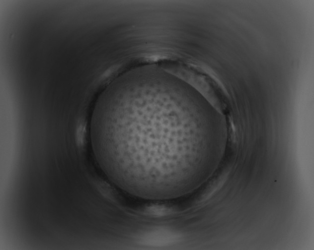 X0000100410596200806061343