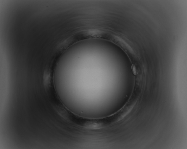 X0000100410597200806061343