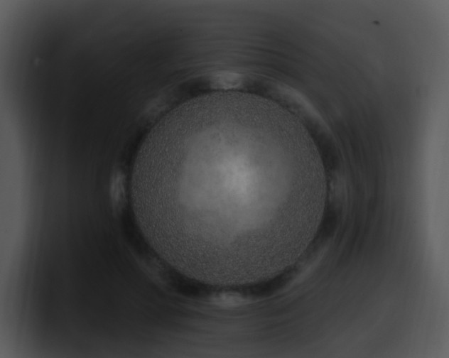 X0000100410598200806061343