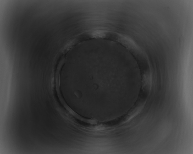 X0000100410600200806061343