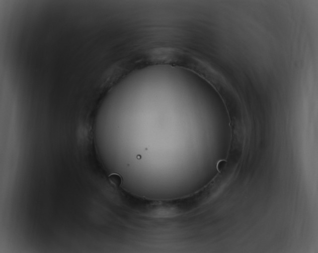 X0000100410601200806061343