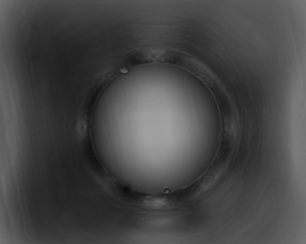 X0000100410602200806061343