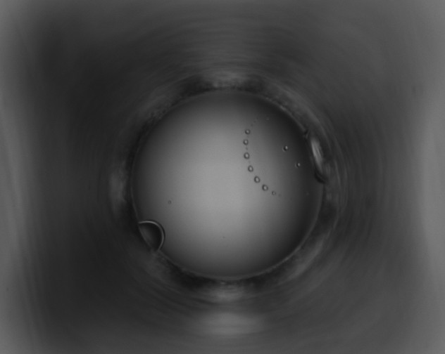 X0000100410604200806061343