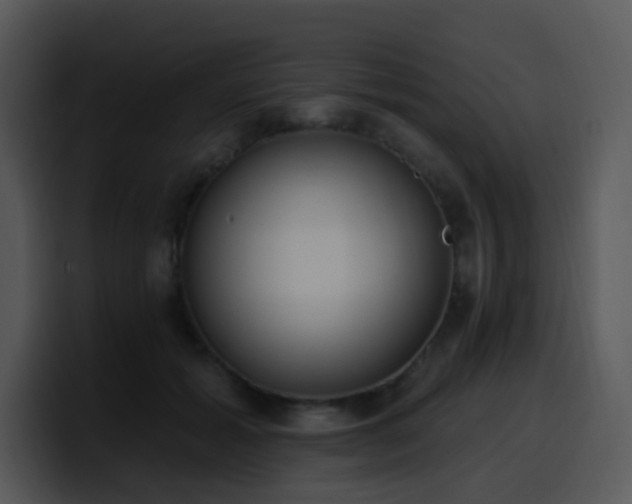 X0000100410605200806061343