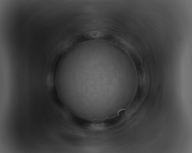 X0000100410606200806061343