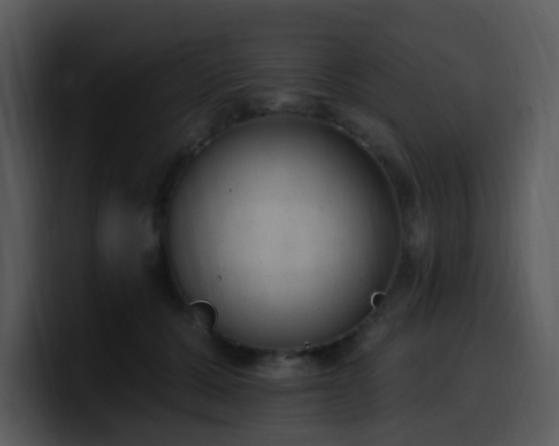 X0000100410607200806061343