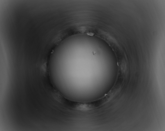 X0000100410611200806061343