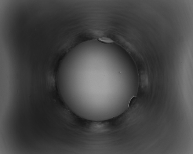 X0000100410613200806061343