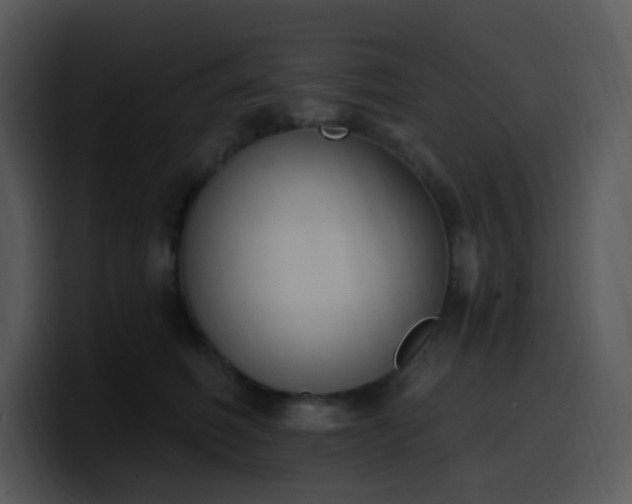 X0000100410614200806061343