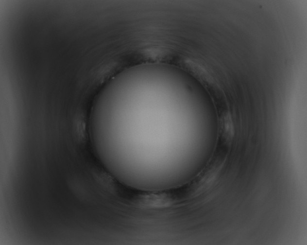 X0000100410615200806061343