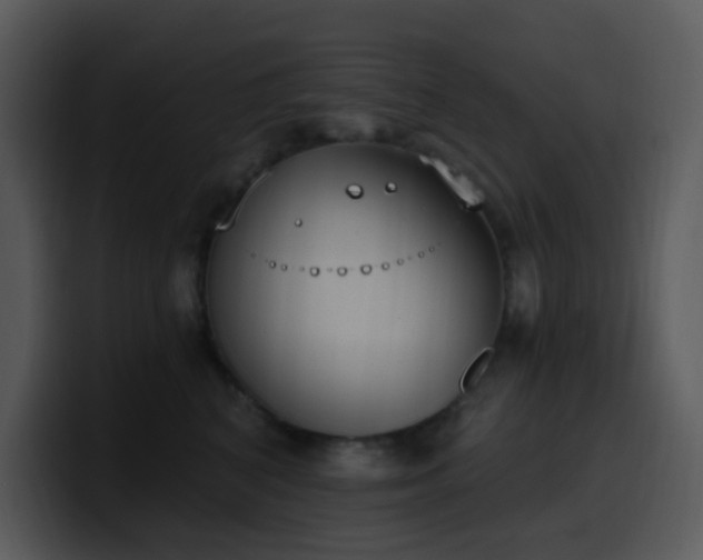 X0000100410616200806061343