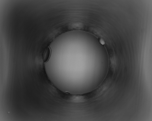 X0000100410617200806061343