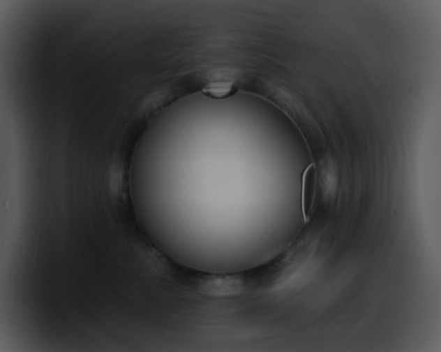 X0000100410619200806061343