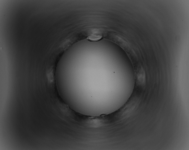 X0000100410620200806061343