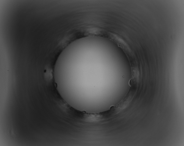 X0000100410621200806061343