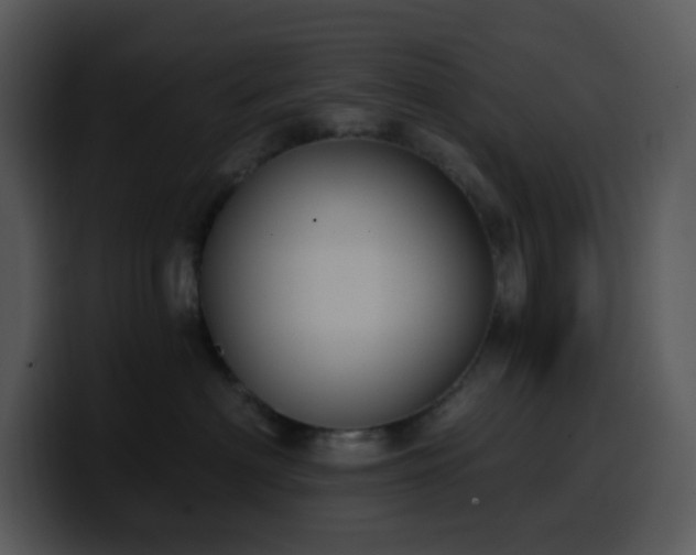 X0000100410622200806061343