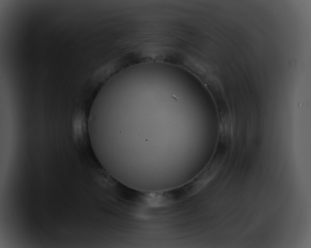 X0000100410623200806061343