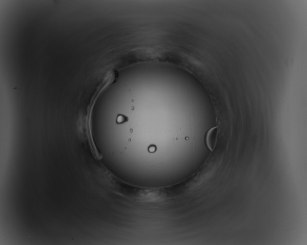 X0000100410624200806061343