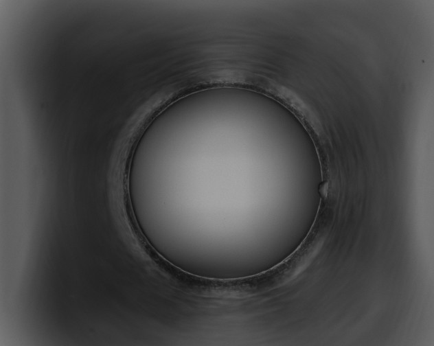 X0000100410625200806061342