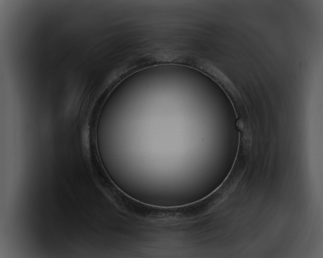 X0000100410626200806061342