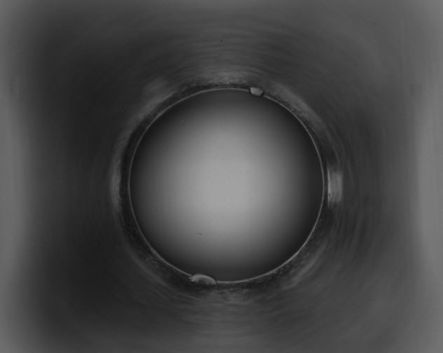 X0000100410627200806061342