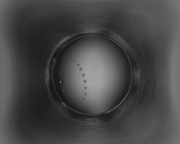 X0000100410628200806061342