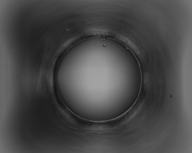 X0000100410629200806061342