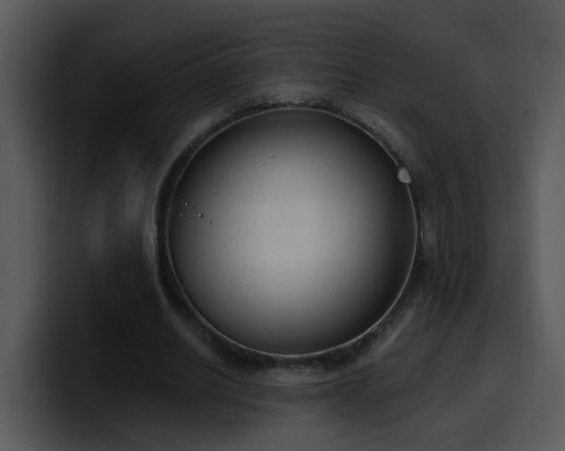 X0000100410630200806061342