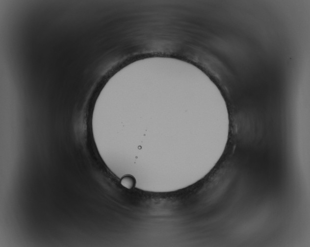 X0000100410632200806061342