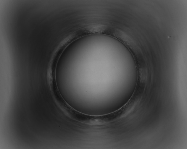 X0000100410634200806061342