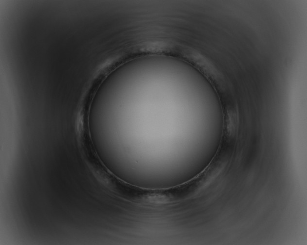 X0000100410636200806061342