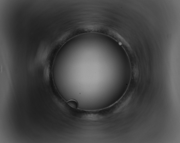 X0000100410637200806061342