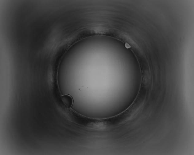 X0000100410639200806061342