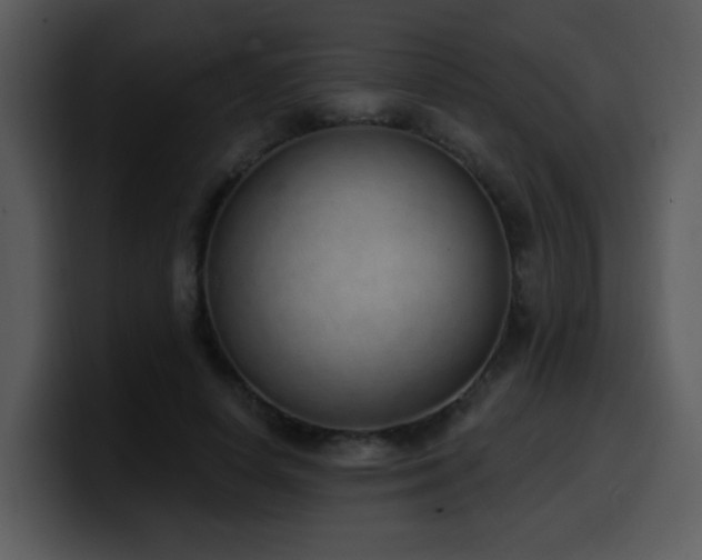 X0000100410642200806061343